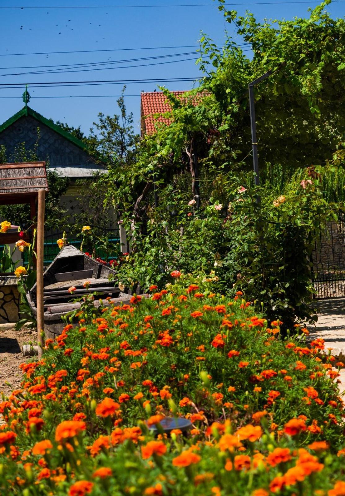 Casa Rasaritul Soarelui Sarichioi Hotel Exterior foto