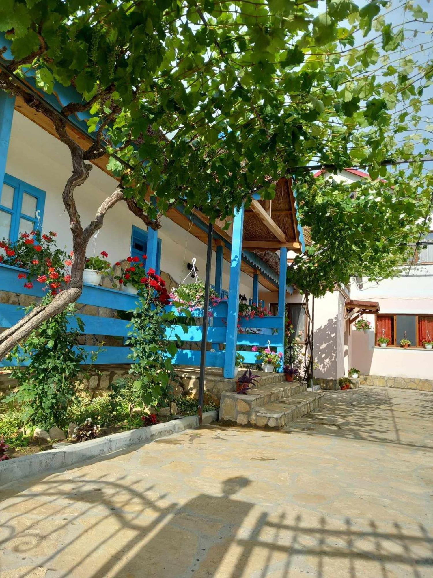 Casa Rasaritul Soarelui Sarichioi Hotel Exterior foto