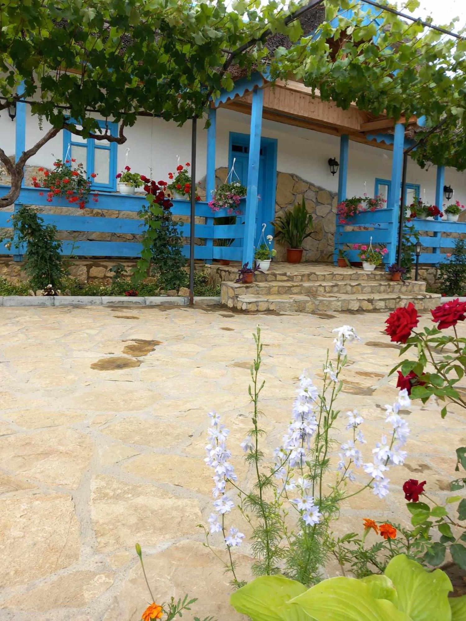 Casa Rasaritul Soarelui Sarichioi Hotel Exterior foto