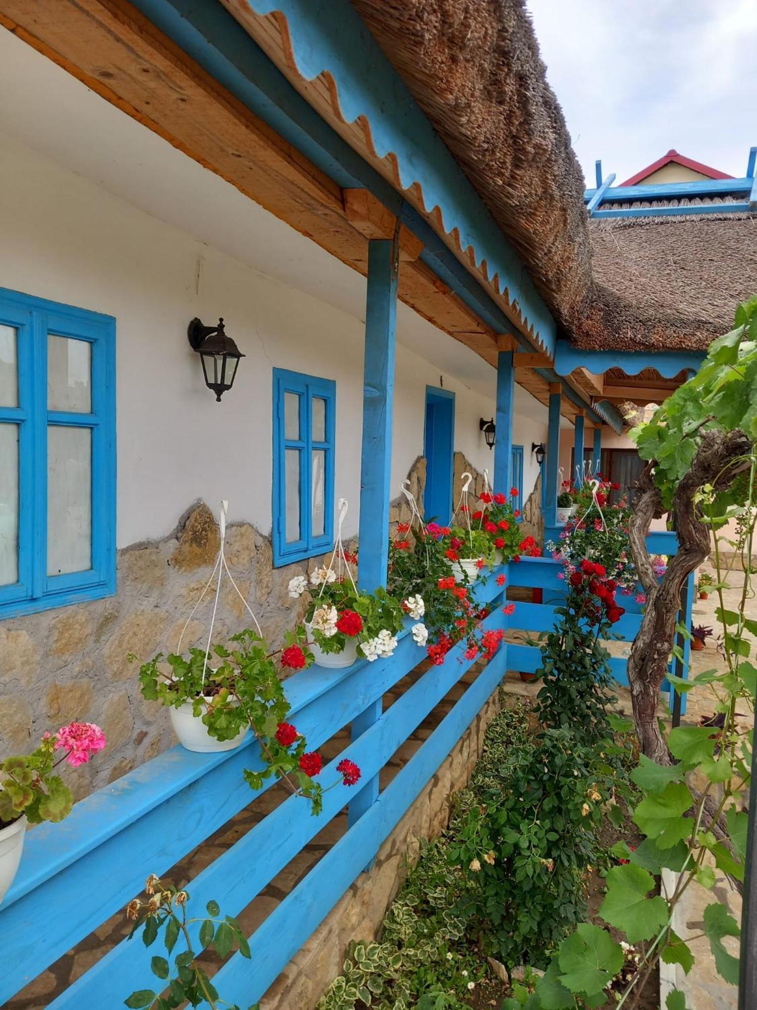 Casa Rasaritul Soarelui Sarichioi Hotel Exterior foto